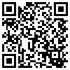 QR Code Handyversion