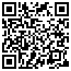 QR Code Handyversion