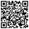 QR Code Handyversion