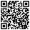 QR Code Handyversion