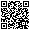 QR Code Handyversion