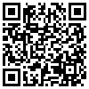 QR Code Handyversion