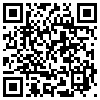 QR Code Handyversion