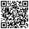 QR Code Handyversion