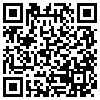 QR Code Handyversion