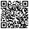 QR Code Handyversion