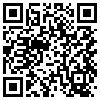 QR Code Handyversion