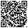 QR Code Handyversion