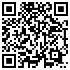 QR Code Handyversion