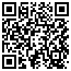 QR Code Handyversion