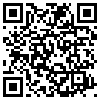 QR Code Handyversion