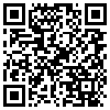 QR Code Handyversion