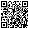 QR Code Handyversion