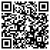 QR Code Handyversion