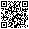 QR Code Handyversion