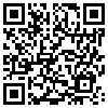 QR Code Handyversion