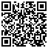 QR Code Handyversion