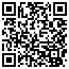 QR Code Handyversion