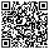 QR Code Handyversion