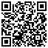 QR Code Handyversion