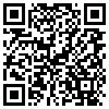 QR Code Handyversion