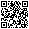 QR Code Handyversion