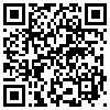 QR Code Handyversion