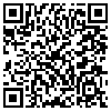 QR Code Handyversion