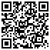 QR Code Handyversion