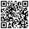 QR Code Handyversion