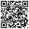 QR Code Handyversion