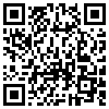 QR Code Handyversion