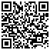 QR Code Handyversion