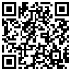 QR Code Handyversion