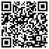 QR Code Handyversion