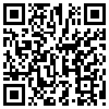 QR Code Handyversion