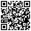 QR Code Handyversion