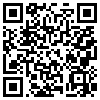 QR Code Handyversion