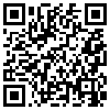 QR Code Handyversion