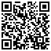 QR Code Handyversion