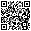 QR Code Handyversion