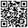 QR Code Handyversion