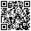 QR Code Handyversion