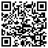 QR Code Handyversion