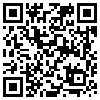 QR Code Handyversion