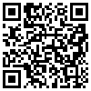 QR Code Handyversion