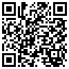 QR Code Handyversion