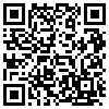 QR Code Handyversion