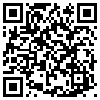 QR Code Handyversion