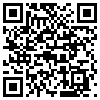 QR Code Handyversion